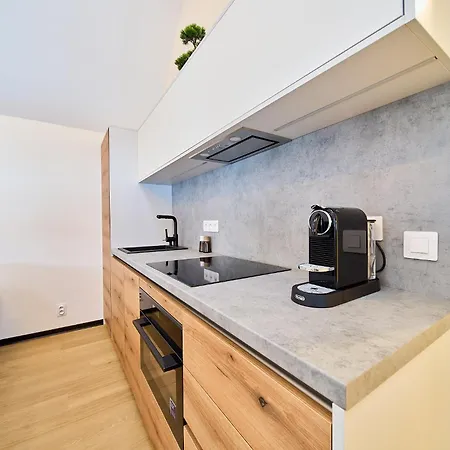 Apartmán Rezidence U Kovárny *